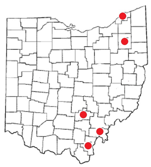 mapparalepont
